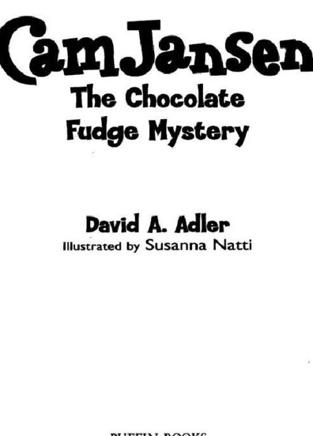 The Chocolate Fudge Mystery