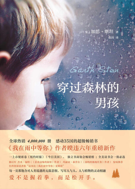 穿过森林的男孩(《我在雨中等你》作者暌违六年重磅新作!上市便席卷《纽约时报》《今日美国》、独立书商协会等畅销榜)