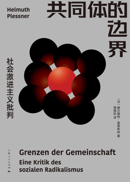共同体的边界:社会激进主义批判