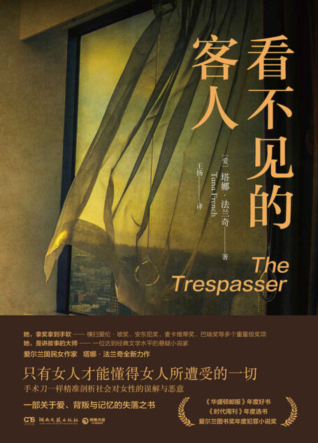 看不见的客人(爱尔兰国民女作家扛鼎之作,《时代》等年度好书,全新视角,手术刀一样精准剖析社会对女性的误解与恶意。)
