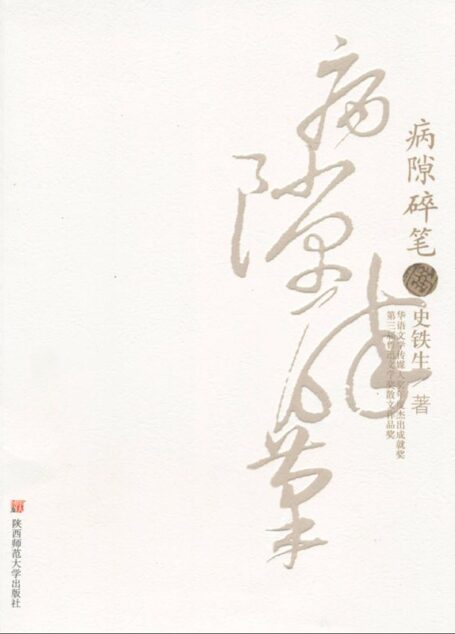 病隙碎笔(修订版)