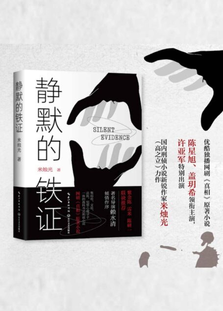 静默的铁证(热播悬疑剧《真相》原著小说,陈星旭、盖玥希领衔主演)