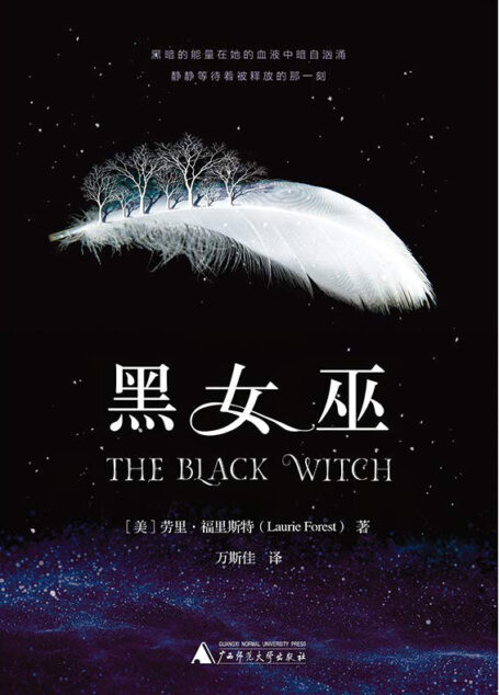 黑女巫(继《哈利波特》《冰与火之歌》之后的又一片奇幻魔法大陆!)
