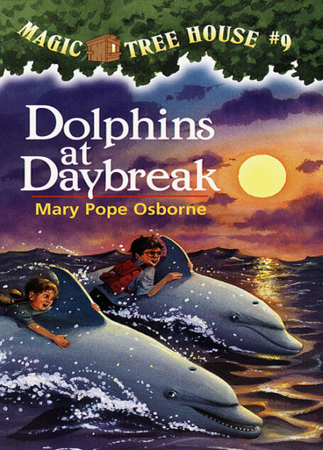 Dolphins at Daybreak
