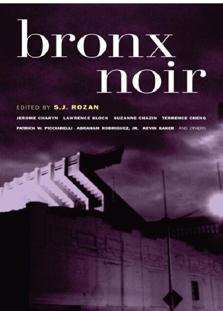 Bronx Noir