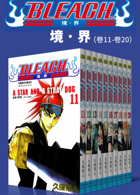 境·界/BLEACH/死神（第2部：卷11~卷20） (日本热血三大漫之一，久保带人巅峰神作。因守护而勇敢，为爱一往无前！)