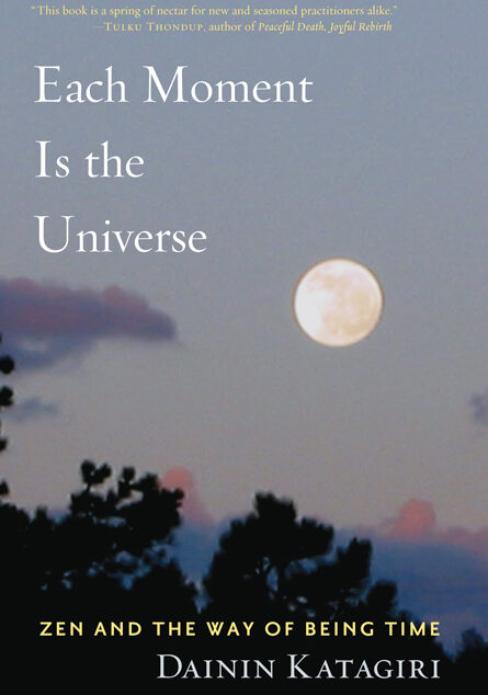 Each Moment Is the Universe