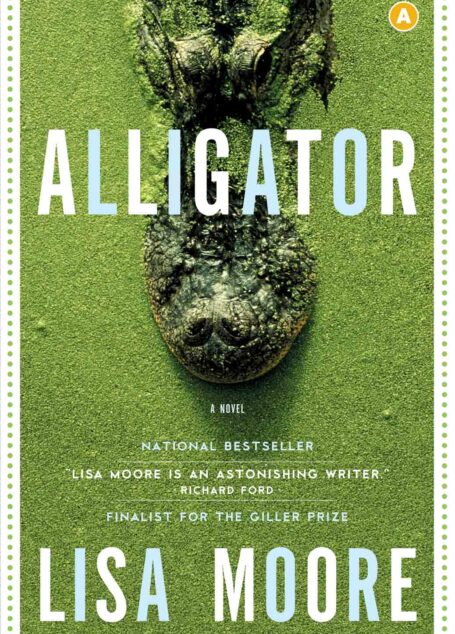 Alligator