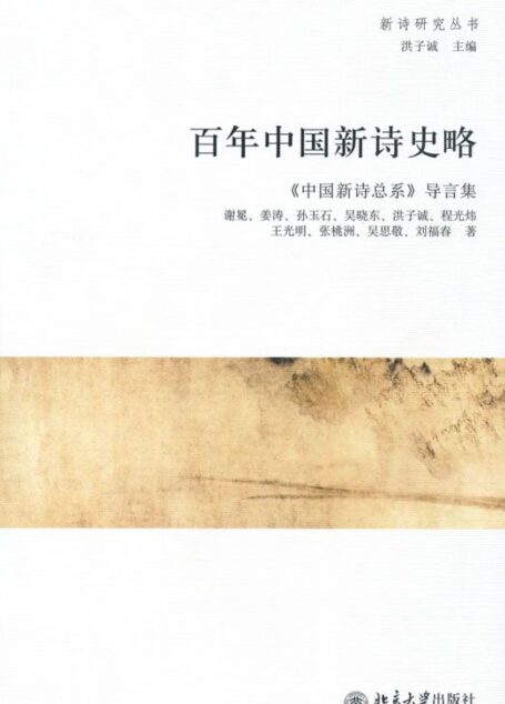 百年中国新诗史略 (新诗研究丛书)