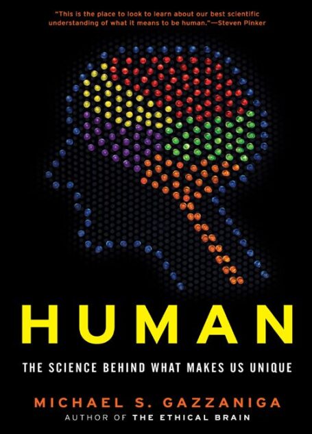 Human