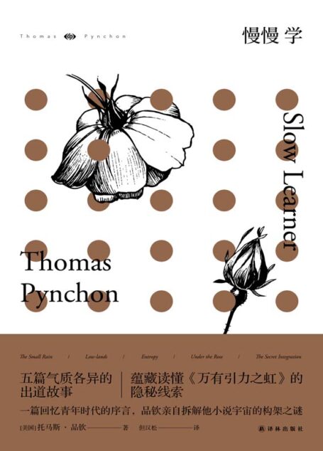 慢慢学 (品钦作品)