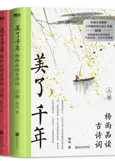 美了千年:杨雨品读古诗词(上下册)【被学生称为“最美才女教授”“中国诗词大会”评委杨雨,解词、解句、解意境、解创作背景,以古为今用、中西合璧的视角,带我们品味“美了千年”的经典诗词。音频课评分高达4.9!】