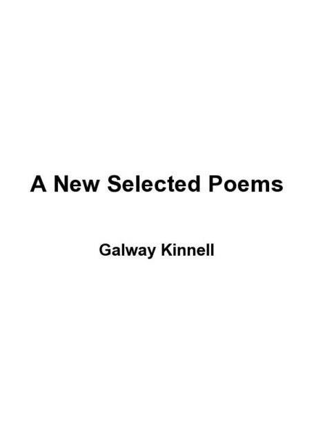 A New Selected Poems