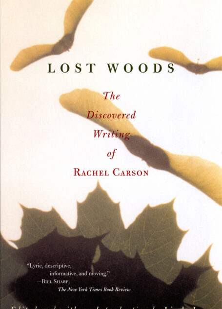 Lost Woods