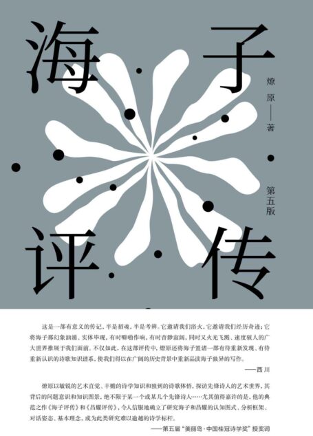 纯粹向度 海子评传（第五版）