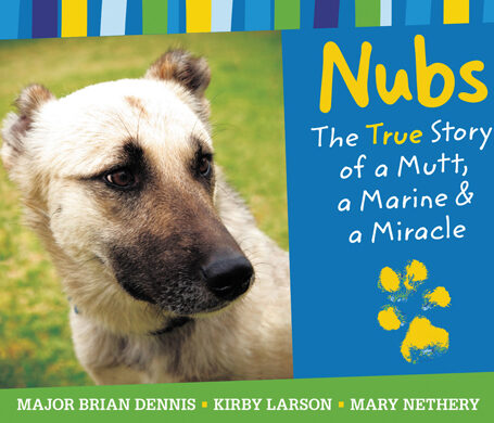 Nubs