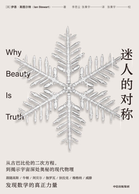 迷人的对称(跟随闪耀天才的故事,探索对称的历史,发现数学的真正力量)