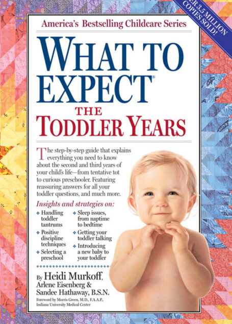 What to Expect the Toddler Years
