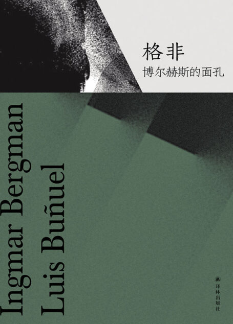 博尔赫斯的面孔 (格非作品)