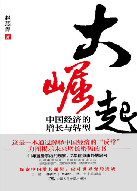 大崛起:中国经济的增长与转型【赵燕菁教授新著,揭示城市空间战略与经济增长问题,王建、林毅夫、余永定、华生联袂推荐!】