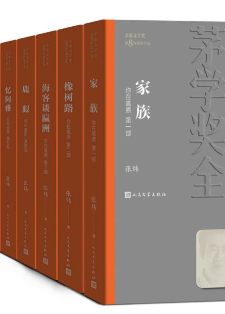 你在高原·全10册(第八届茅盾文学奖获奖作品;在追赶的路上,请停下来听我叙说关于爱和童年、残忍和怜悯、不幸和永生的回忆) (茅盾文学奖获奖作品全集)