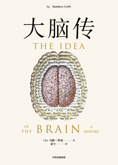 大脑传(罕见的中文通俗脑科学全史。《癌症传》《基因传》般的科学史诗;陈嘉映作序)