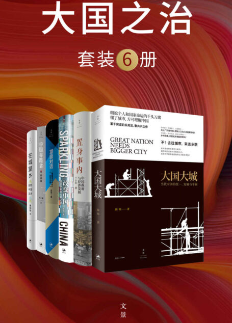 大国之治（套装6册）【经济学家陆铭、兰小欢、张军等从宏观到微观，从经济学理论到经济发展实践，解锁看懂中国发展的全新视角。关注实践中的具体案例，思考中国发展的底层逻辑】