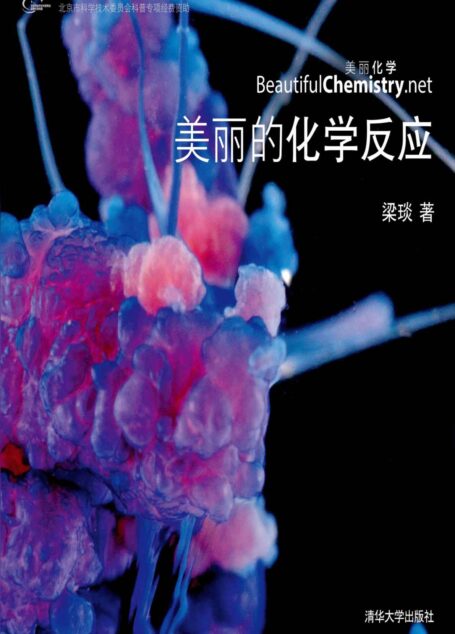 美丽的化学反应