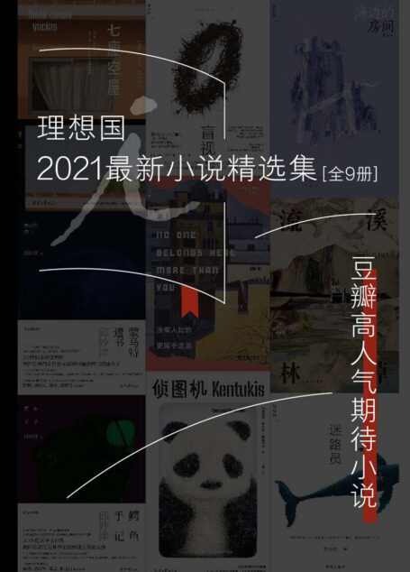 理想国2021最新小说精选集（全9册）（豆瓣高人气最新小说  理想国出品）