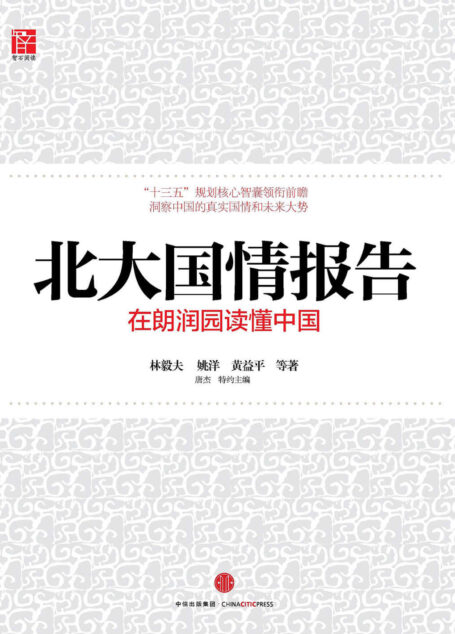 北大国情报告