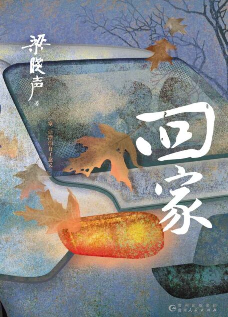 回家（梁晓声中篇小说精选集，着眼于社会的普通大众，记录着芸芸众生的酸甜苦辣和心路历程！）
