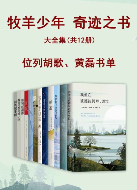 牧羊少年奇迹之书大全集（共12册，王一博、TFBOYS、黄轩、金庸推荐！现实有多冰冷，我们就多温暖，书里每个平凡的瞬间都在发光！） (牧羊少年保罗·柯艾略作品)