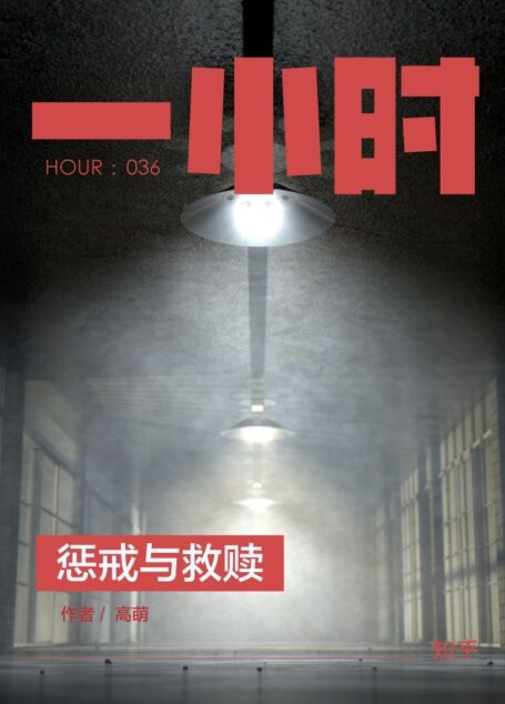 惩戒与救赎:知乎高萌作品 (知乎「一小时」系列)