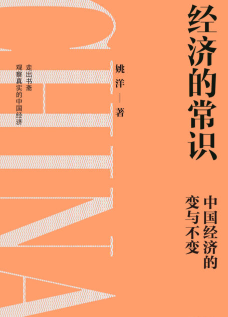 经济的常识(分析中国经济的挑战与发展,读懂政策逻辑,把握未来趋势)