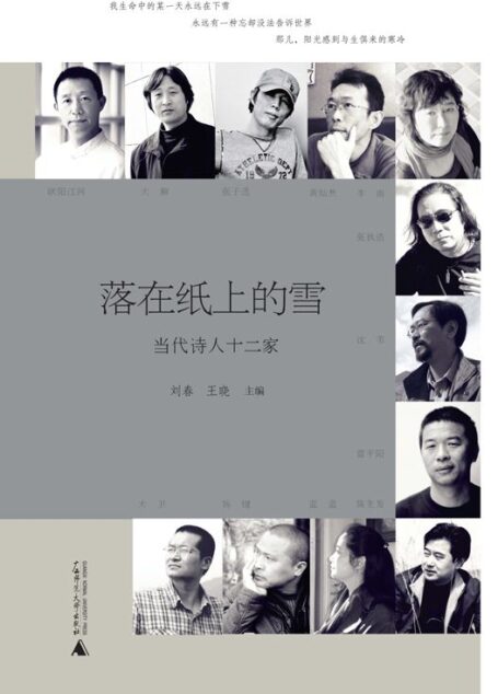 落在纸上的雪：当代诗人12家