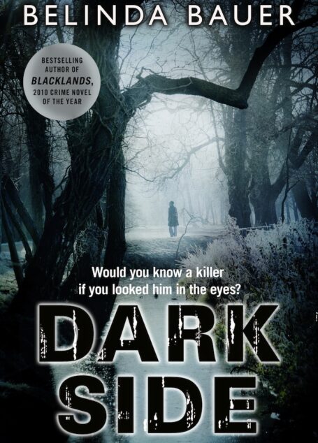 Darkside: A Novel