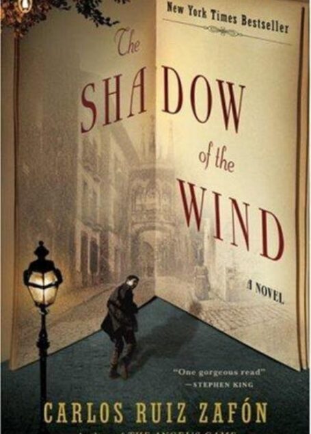 The shadow of the wind
