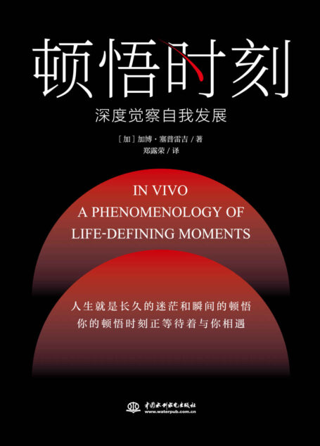 顿悟时刻(人生绝不许错过的必读哲思经典力作之一!突破自我惯性中的迷惘!一部读得出“内心刺痛感”的深度巨作)