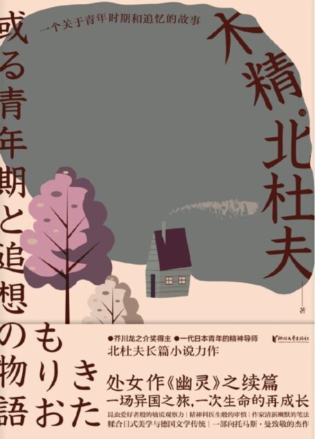 木精：一个关于青年时期和追忆的故事（日本芥川奖得主北杜夫自传性长篇小说，三岛由纪夫盛赞）