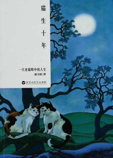 猫生十年:一只老猫眼中的人生
