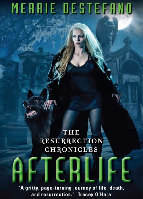 Afterlife