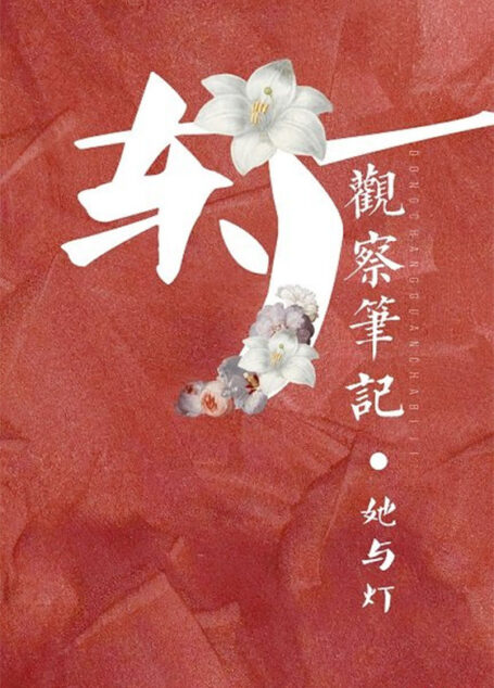 观鹤笔记