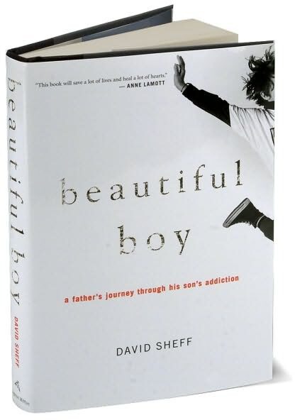 Beautiful Boy: A Father’s Journey Through His Son’s Addiction