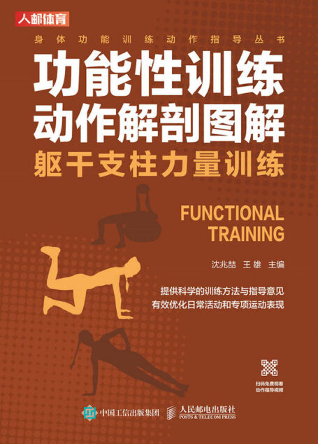 功能性训练动作解剖图解:躯干支柱力量训练