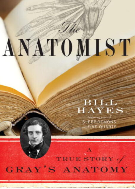 The Anatomist