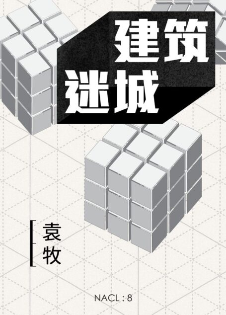 建筑迷城:知乎 袁牧自选集 (知乎「盐」系列)