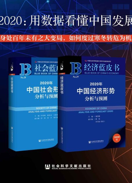 2020:用数据看懂中国发展(经济蓝皮书+社会蓝皮书)