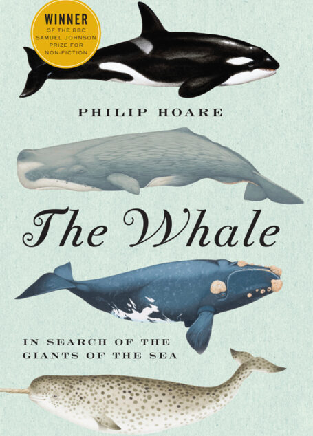 The Whale