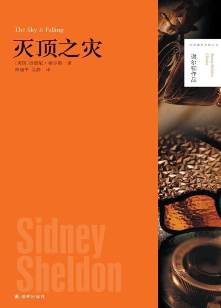 灭顶之灾 (“最会讲故事的人”谢尔顿作品)