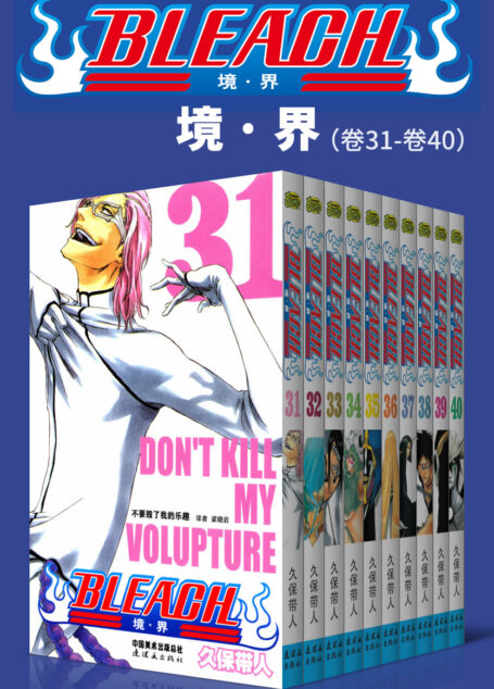 境·界/BLEACH/死神（第4部：卷31~卷40） (日本热血三大漫之一，久保带人巅峰神作。因守护而勇敢，为爱一往无前！)